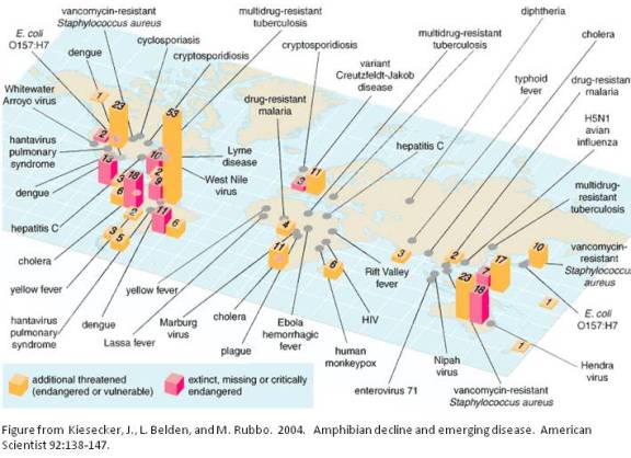 global disease