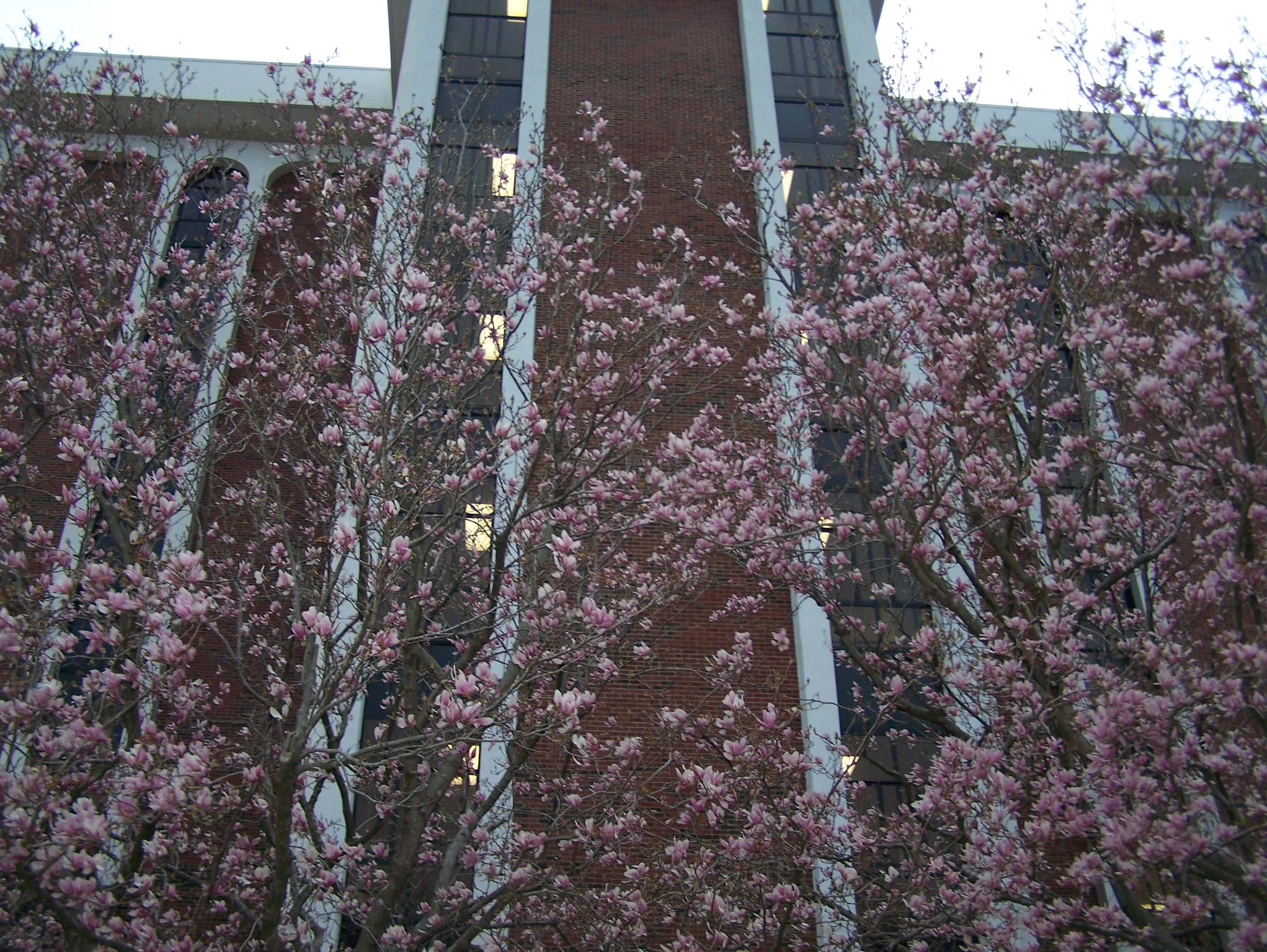 Faculty Hall