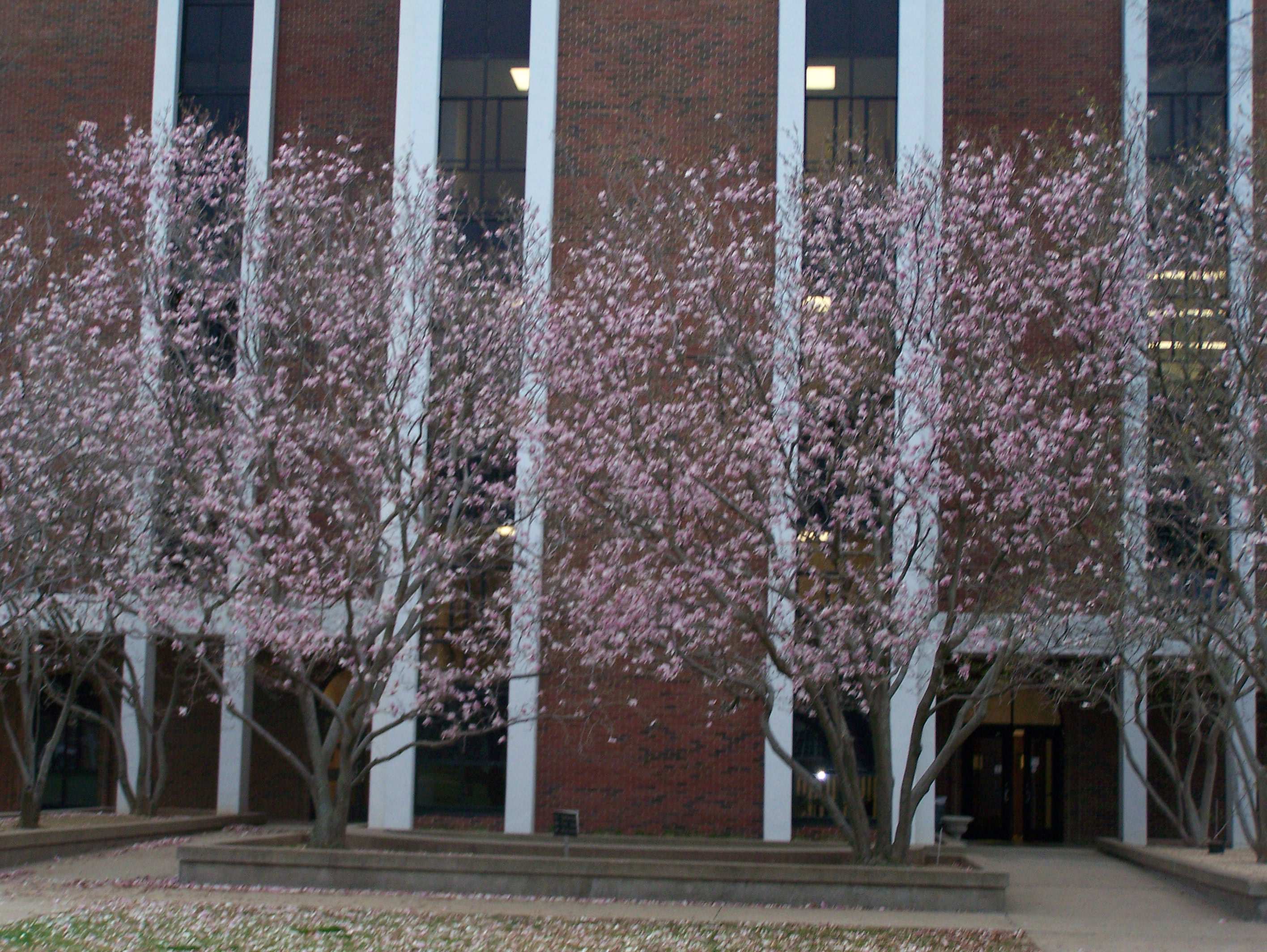 Faculty Hall