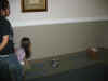 IMG_0280.JPG (73442 bytes)