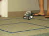 IMG_2280.JPG (110195 bytes)