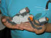 IMG_2932.JPG (86313 bytes)