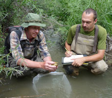 Scot Peterson (left), sampling Kimball Creek, Tom Anderson (right)
