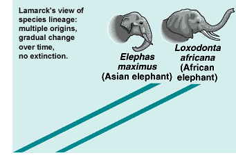 lamarck